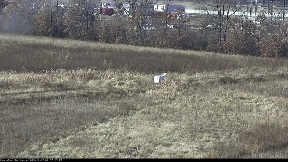 Cell 2 to 3_23-12-20_14-57-25-73