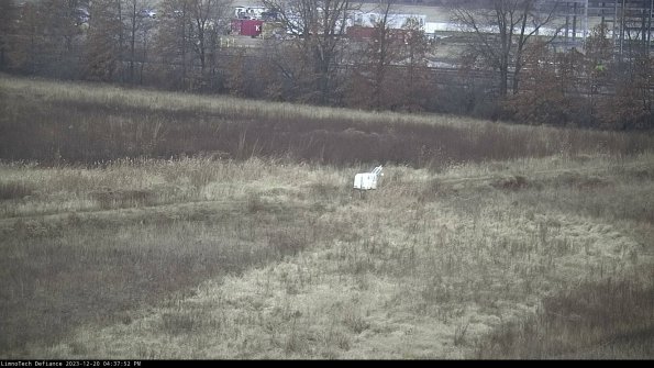 Cell 2 to 3_23-12-20_16-37-52-61