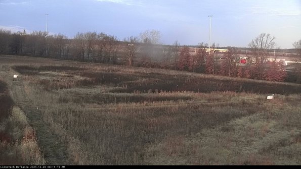 Cell 2_23-12-20_08-15-19-67