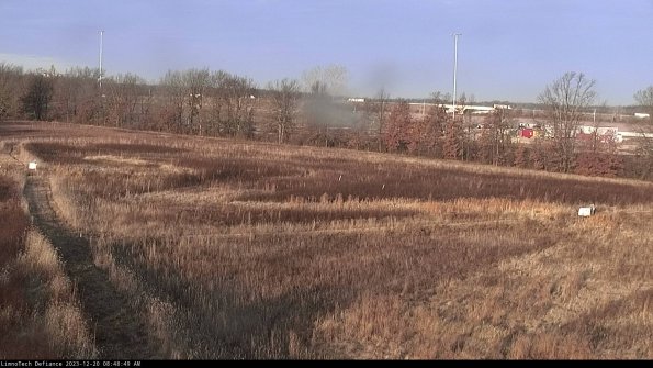 Cell 2_23-12-20_08-48-49-64