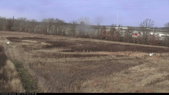 Cell 2_23-12-20_09-55-48-64