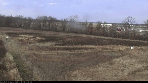 Cell 2_23-12-20_10-29-17-62