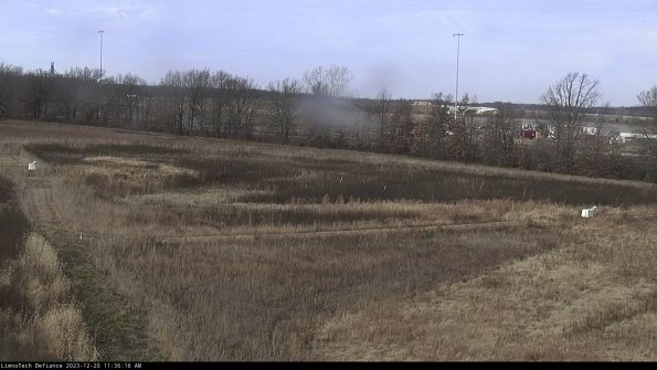 Cell 2_23-12-20_11-36-16-62