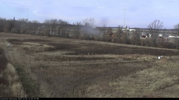 Cell 2_23-12-20_12-43-16-72