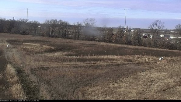 Cell 2_23-12-20_14-23-43-70