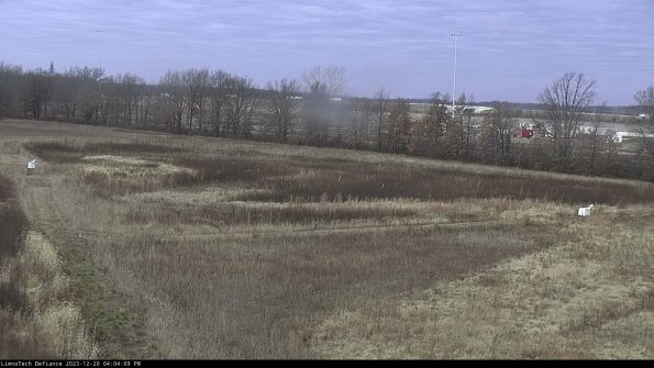 Cell 2_23-12-20_16-04-09-69