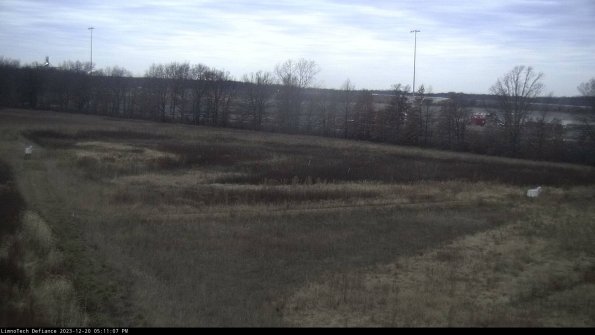 Cell 2_23-12-20_17-11-07-65