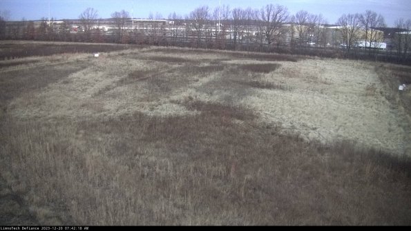 Cell 3_23-12-20_07-42-18-88