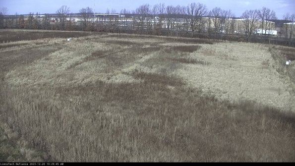 Cell 3_23-12-20_10-29-45-62