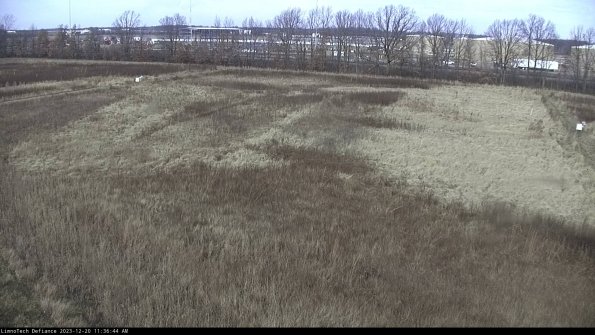 Cell 3_23-12-20_11-36-44-61