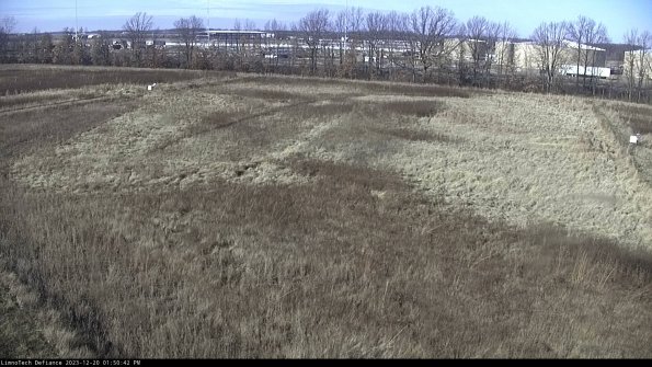 Cell 3_23-12-20_13-50-42-81