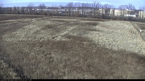 Cell 3_23-12-20_14-24-11-60