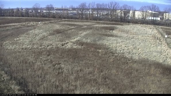 Cell 3_23-12-20_14-57-39-85