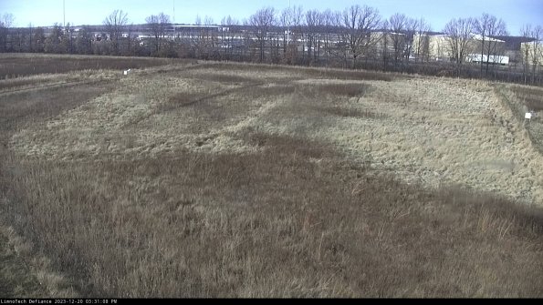 Cell 3_23-12-20_15-31-08-63