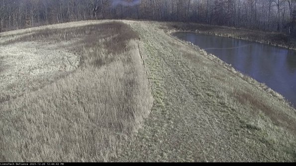 Cell 4 to Basin_23-12-20_12-44-42-64