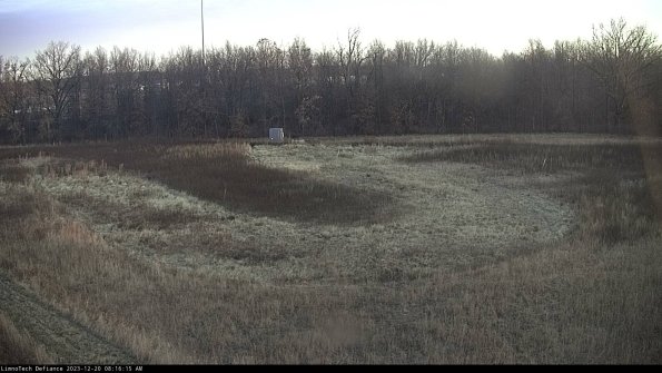 Cell 4_23-12-20_08-16-15-62