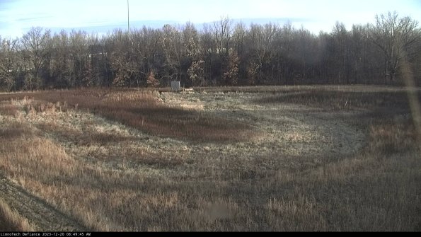 Cell 4_23-12-20_08-49-45-63