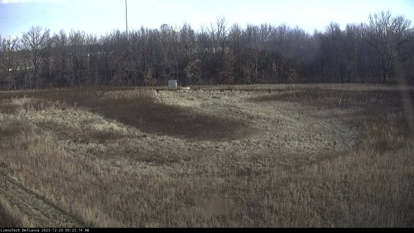 Cell 4_23-12-20_09-23-14-61