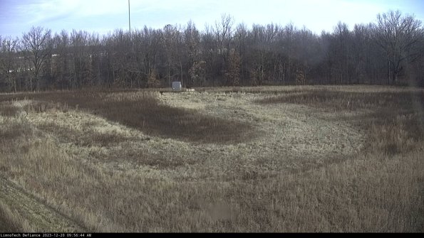 Cell 4_23-12-20_09-56-44-63