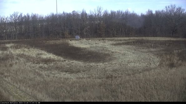 Cell 4_23-12-20_11-37-12-61