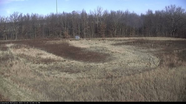 Cell 4_23-12-20_12-44-12-61