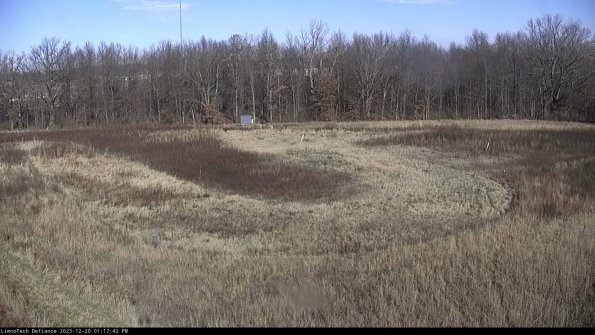 Cell 4_23-12-20_13-17-42-59