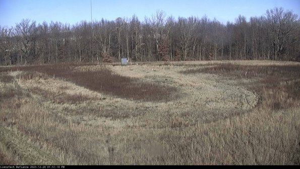 Cell 4_23-12-20_13-51-10-61