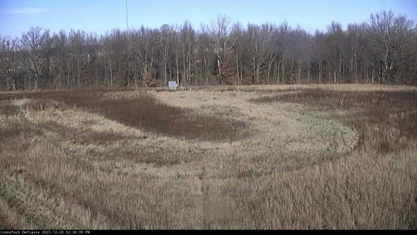 Cell 4_23-12-20_14-24-39-62