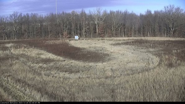 Cell 4_23-12-20_14-58-07-61