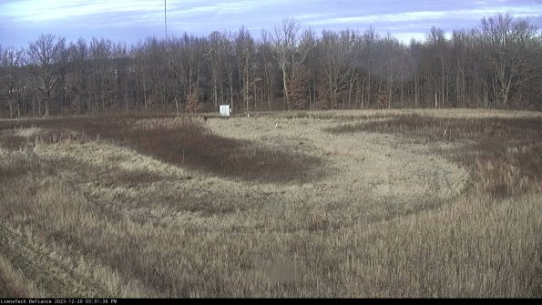 Cell 4_23-12-20_15-31-36-59