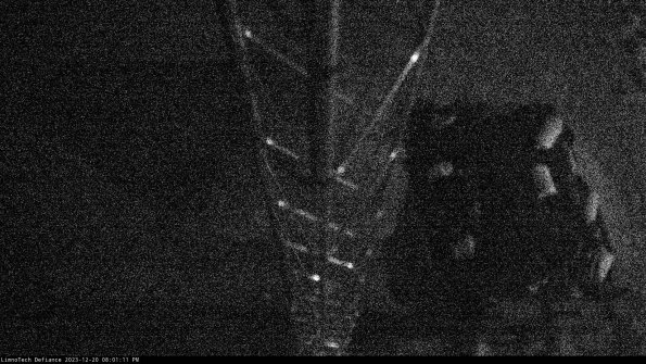 Hatch_23-12-20_20-01-11-61