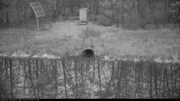 Basin Inflow_23-12-22_07-43-51-59