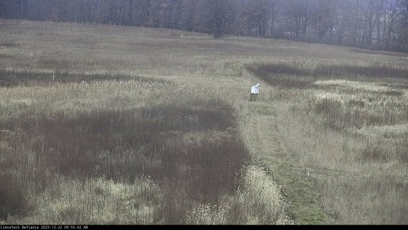 Cell 1 to 2_23-12-22_09-55-42-62