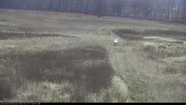 Cell 1 to 2_23-12-22_11-02-41-58