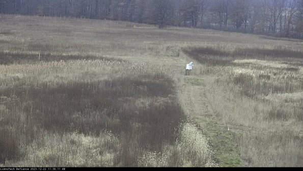 Cell 1 to 2_23-12-22_11-36-11-60