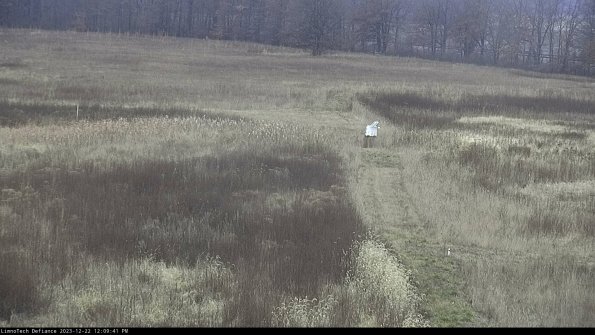 Cell 1 to 2_23-12-22_12-09-41-61