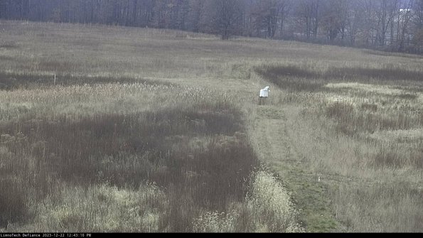 Cell 1 to 2_23-12-22_12-43-10-60