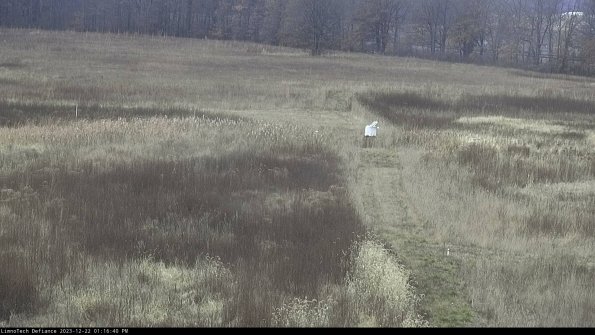 Cell 1 to 2_23-12-22_13-16-40-61