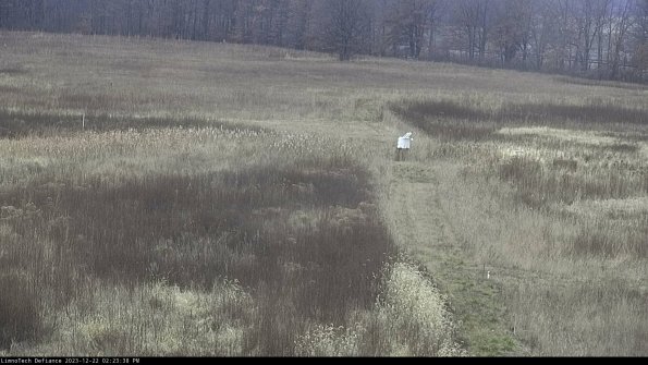 Cell 1 to 2_23-12-22_14-23-38-61