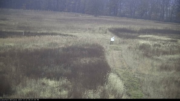 Cell 1 to 2_23-12-22_16-37-34-61