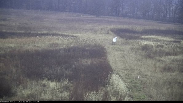 Cell 1 to 2_23-12-22_17-11-04-59