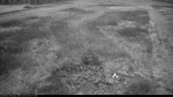 Cell 1_23-12-22_07-41-31-61