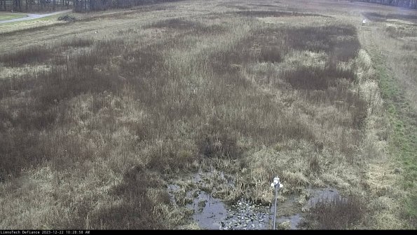 Cell 1_23-12-22_10-28-58-62