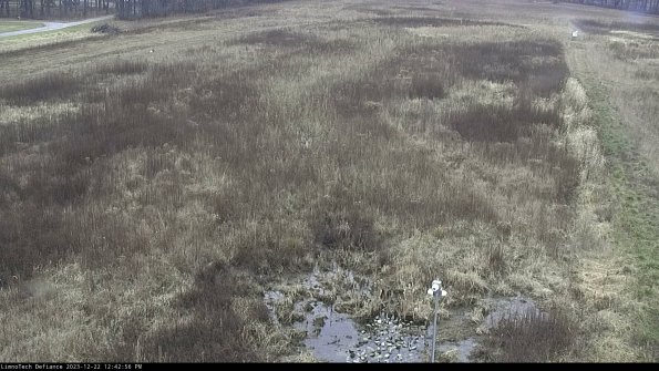 Cell 1_23-12-22_12-42-56-61