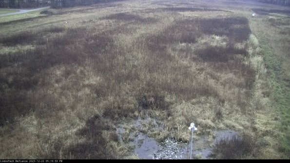 Cell 1_23-12-22_17-10-50-61