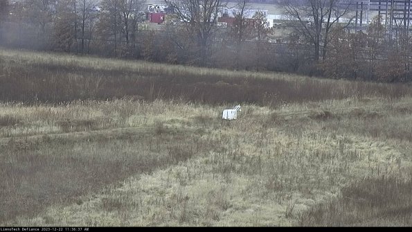 Cell 2 to 3_23-12-22_11-36-37-69