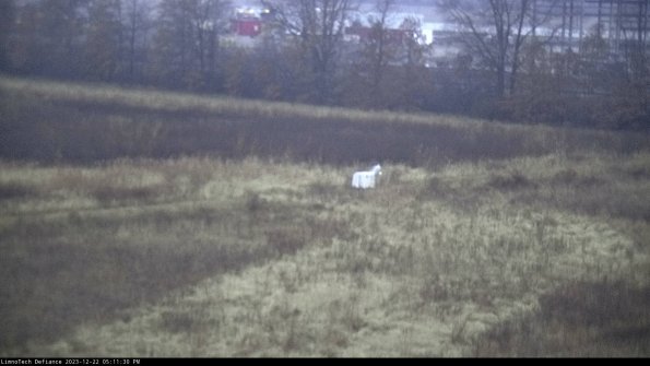 Cell 2 to 3_23-12-22_17-11-30-65