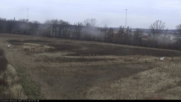 Cell 2_23-12-22_09-55-55-70