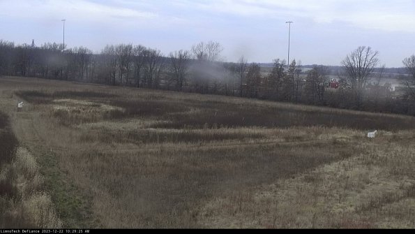 Cell 2_23-12-22_10-29-25-68