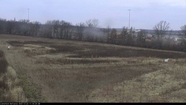 Cell 2_23-12-22_11-36-24-61